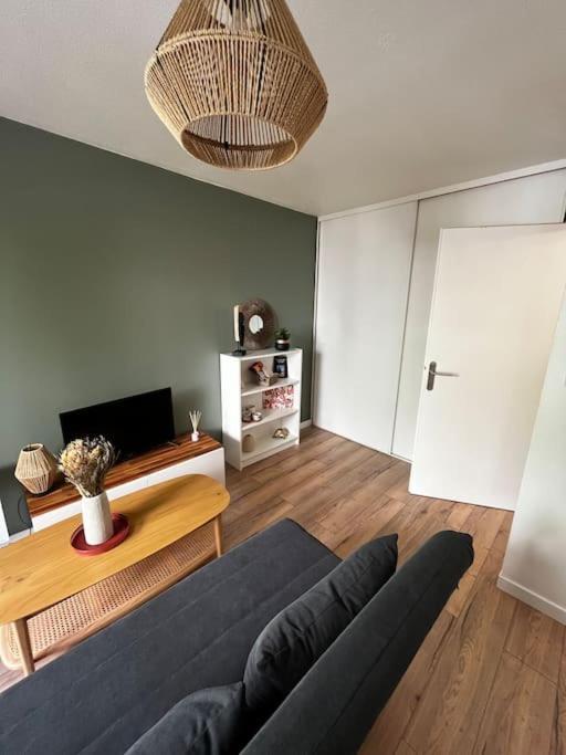 Charmant T2 Dans Toulouse Ngoại thất bức ảnh